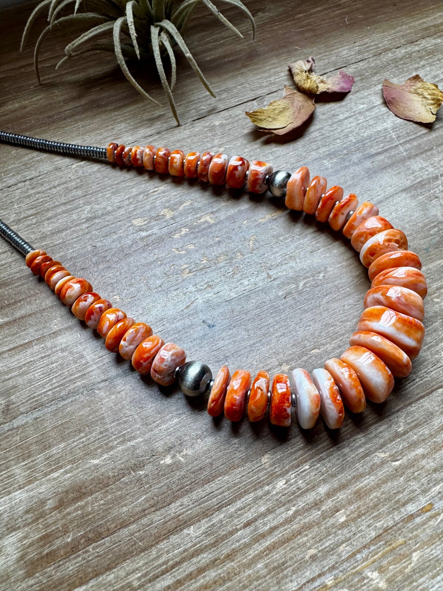 22 inch graduated orange spiny necklace with Sterling silver pearls