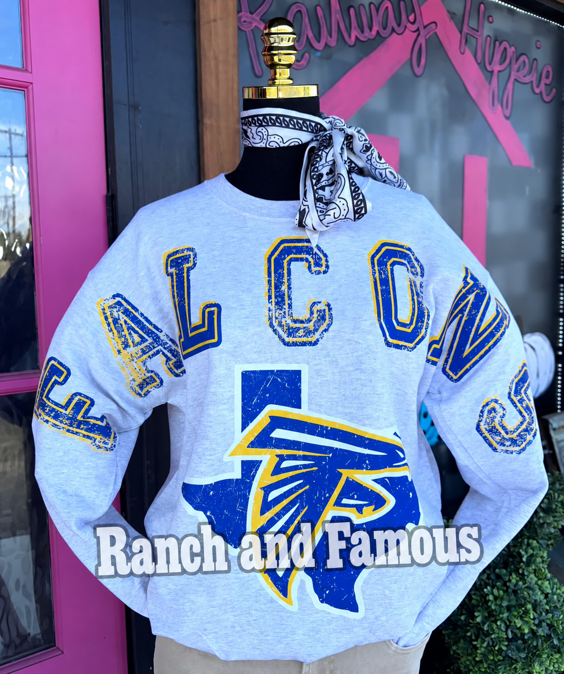 Falcons Pullover (PREORDER)