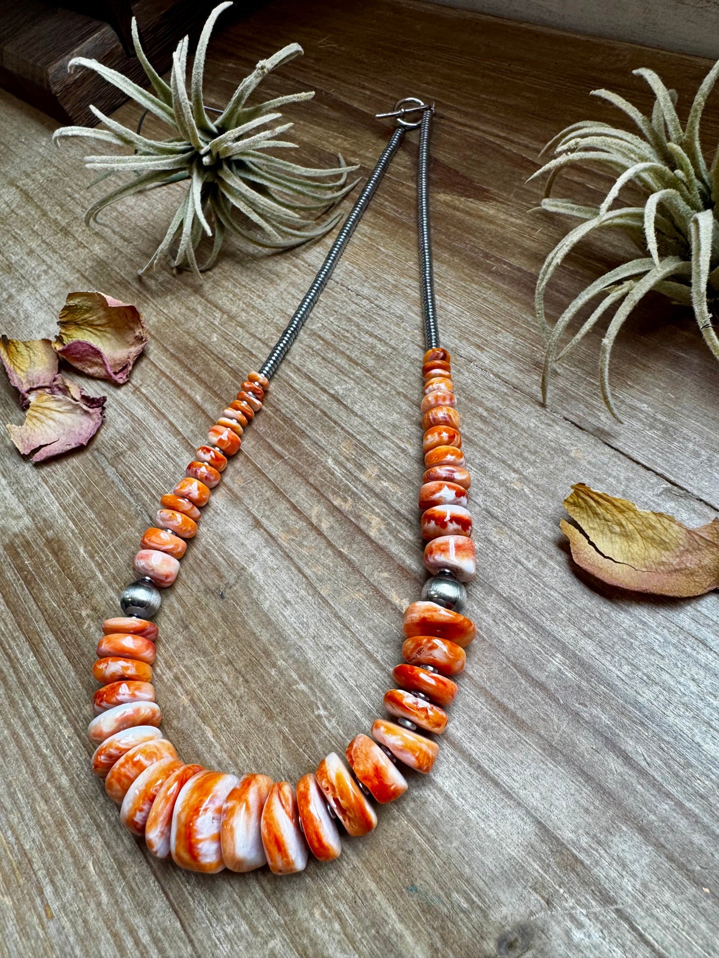 22 inch graduated orange spiny necklace with Sterling silver pearls
