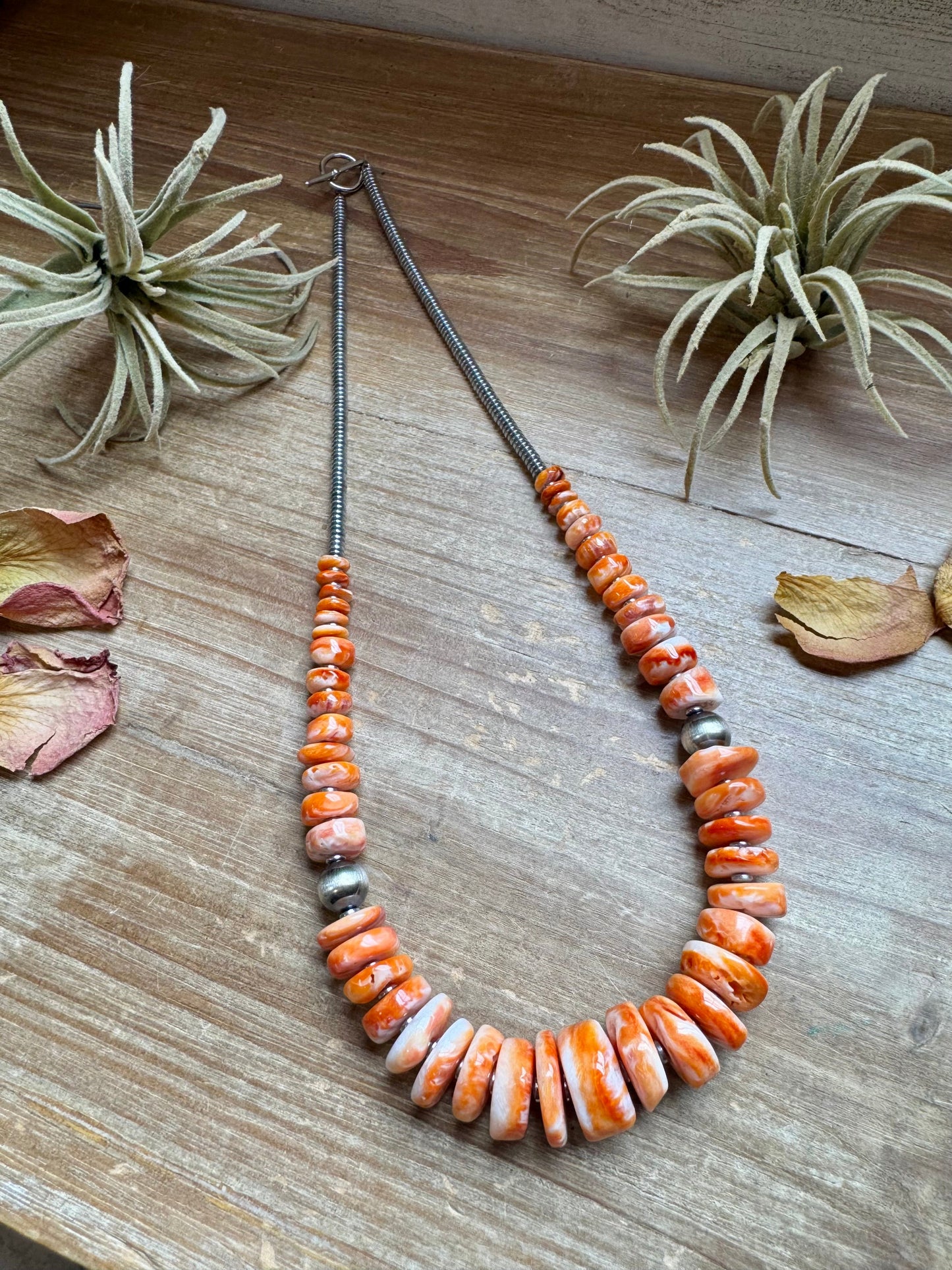 22 inch graduated orange spiny necklace with Sterling silver pearls