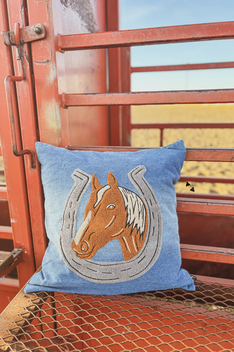 Denim Darlin' Pillow Cover