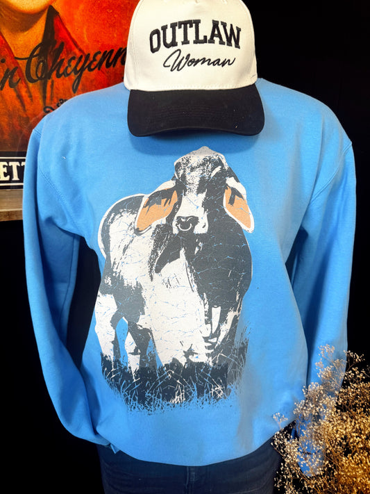 Brahma on Sweatshirt