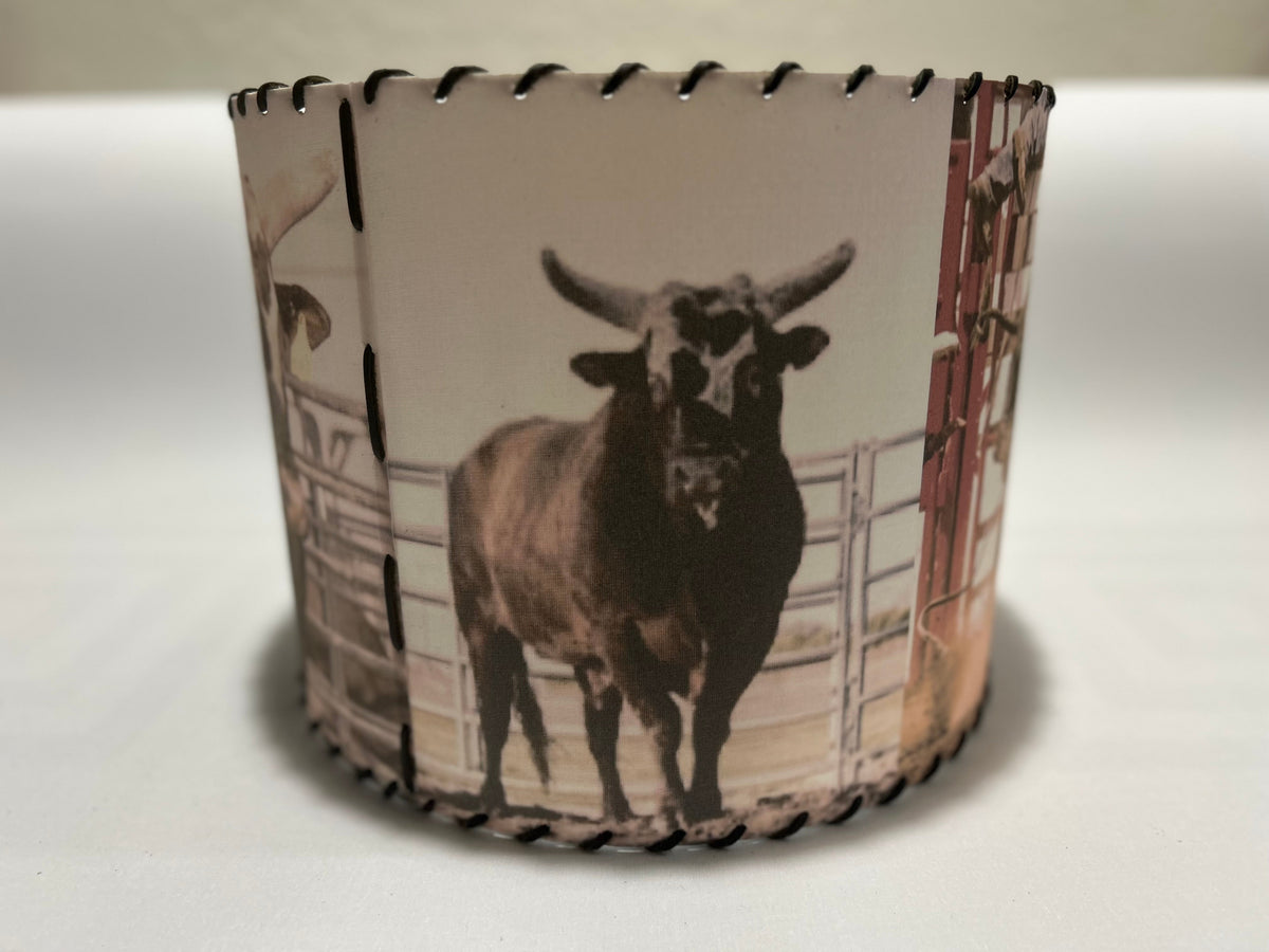 Buckin Bull Lampshade Chute 2