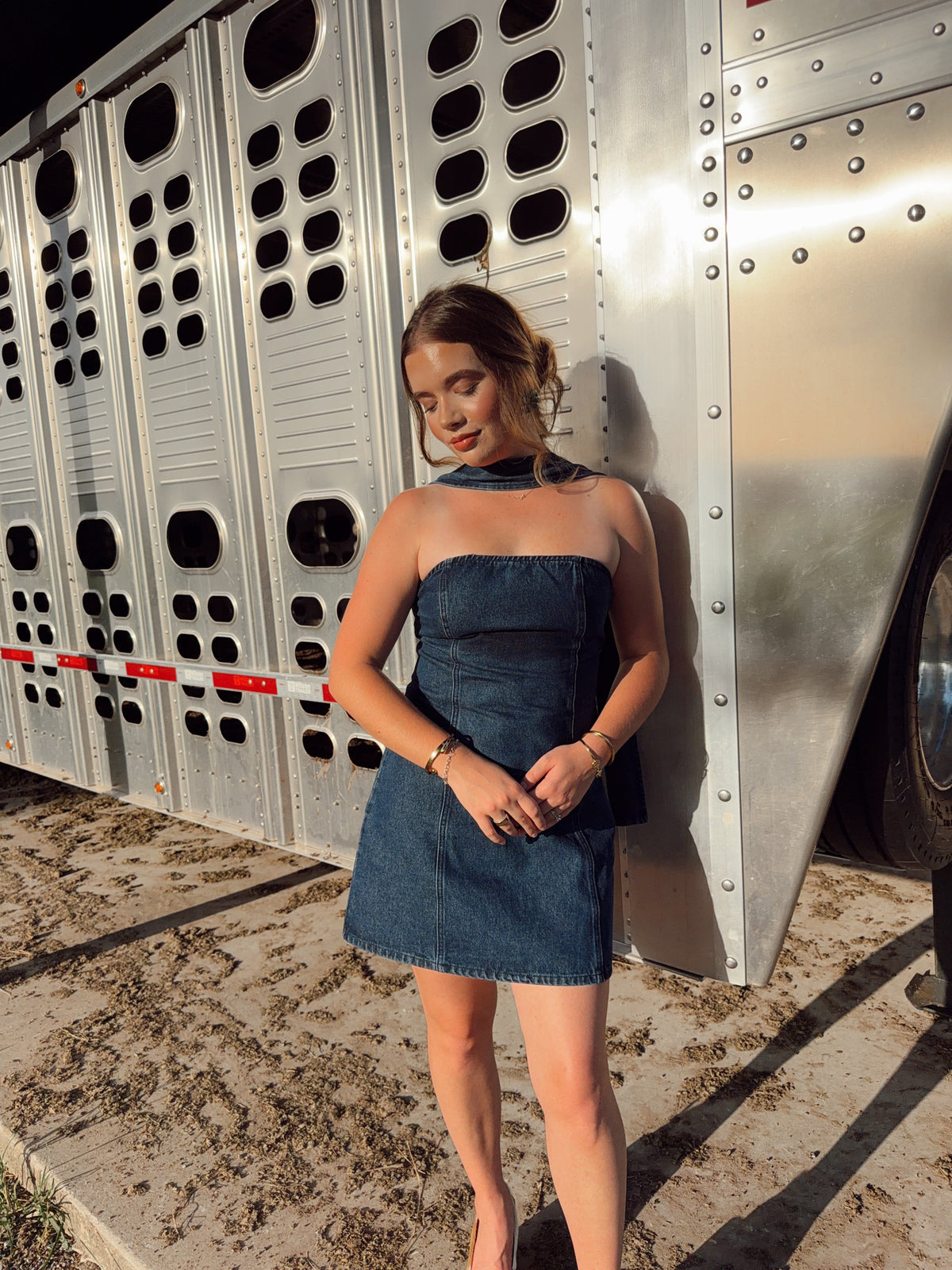 The Davie Denim Dress