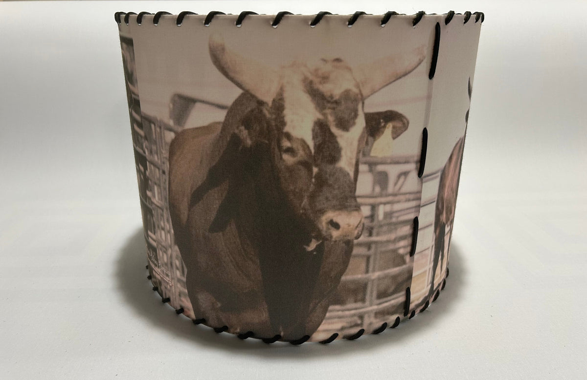 Buckin Bull Lampshade Chute 2