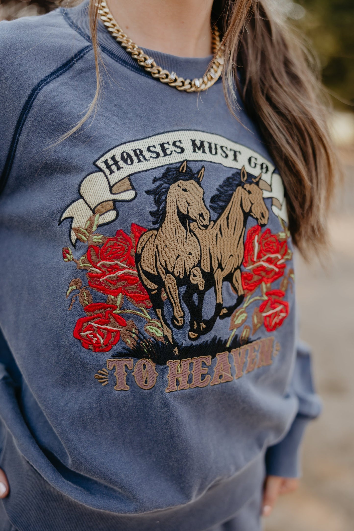 Horses in Heaven Pullover