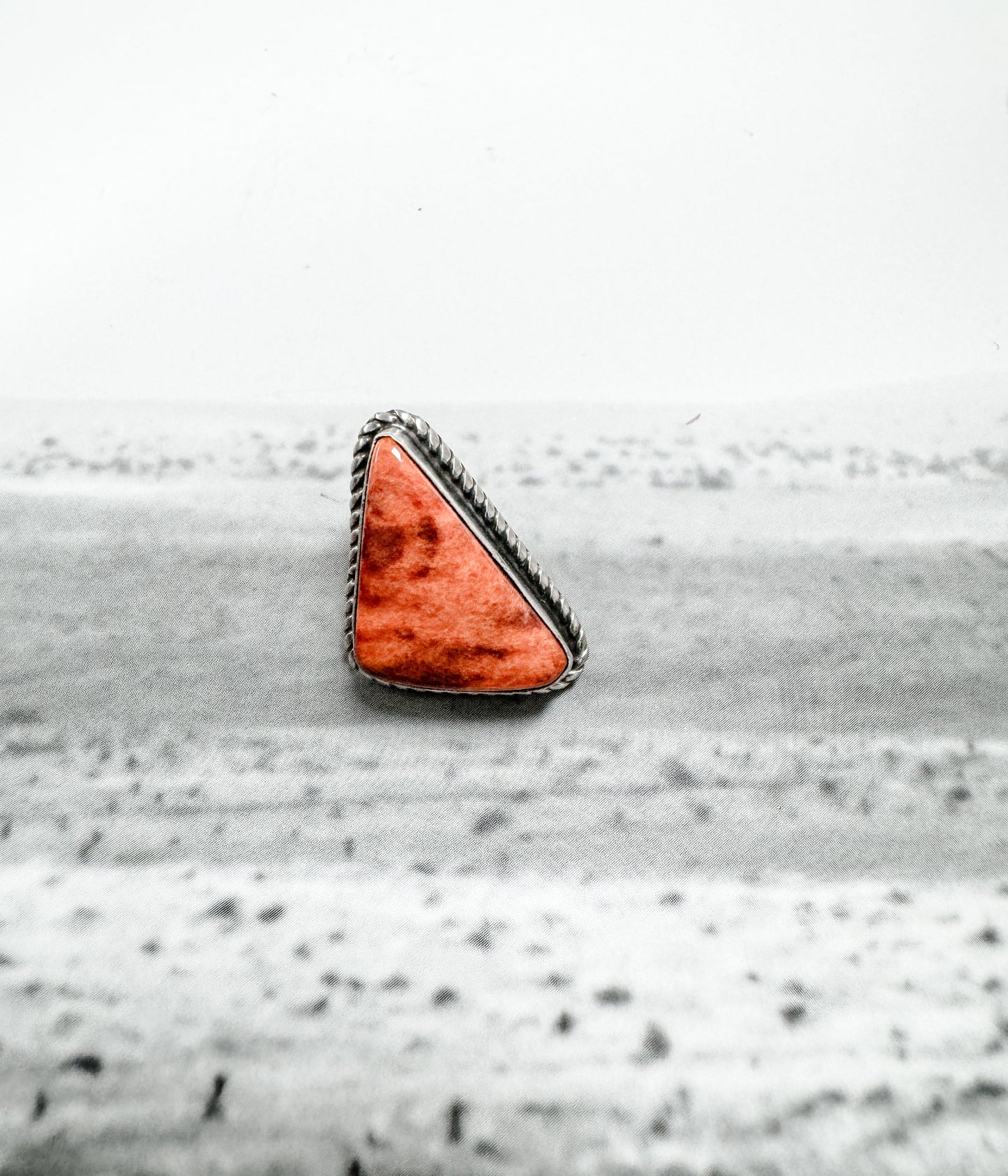 Spiny Oyster Triangle Stud Earrings